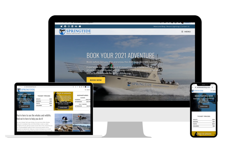 springtide whale watching website mockup by amt marketing